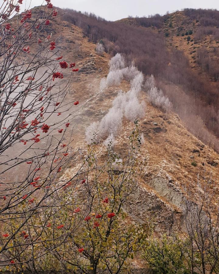 Red Stone Guest House Kazbegi Ngoại thất bức ảnh